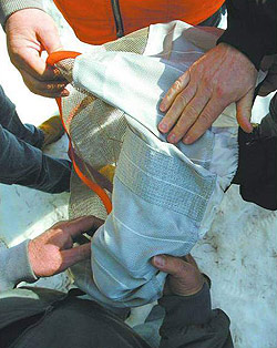Testing with AutoSock,Auto Sock, Auto Socks Testing with AutoSock,Auto Sock, Auto Socks