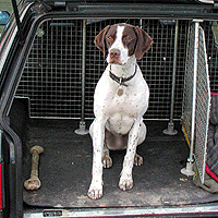 Do you need a Carbox boot liner or mat?