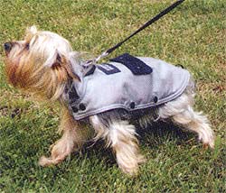 Dog Bag 'Dog Jacket'