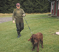 Fasty straps moose puller / dog lead!