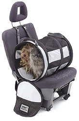 Pet Tube not just for Dogs - ideal for cats too!