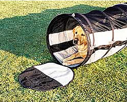 Pet Tube/Pet Carrier- Large