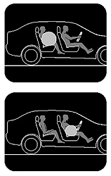 Pet Tube/Pet Carrier - passenger or rear seats