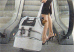 USB Pet Carrier- Travel Kit (USB, Trolley & Lower Bag) USB Pet Carrier- Travel Kit (USB, Trolley & Lower Bag)