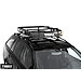 Thule Xperience carrier basket 99cm (wide) x 112cm no. TU828