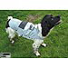 Dog Bag dog jacket 35cm - no. ERDB-JAK35:Dog Bag dog jacket 35cm - no. ERDB-JAK35