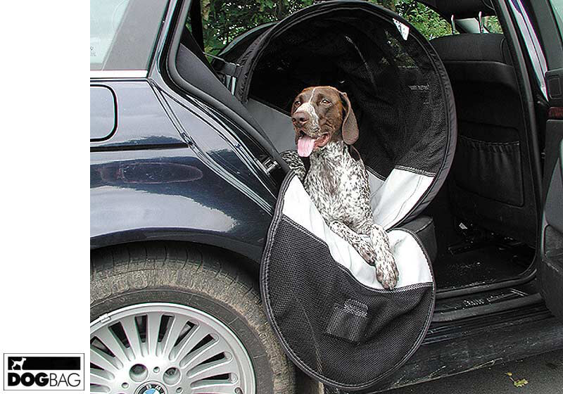 BIG DOGS CAN TRAVEL SAFELY IN CARS TOO! ToTo & the Wonderful Things