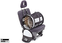 Poodle [Miniature]  :Pet Tube SMALL