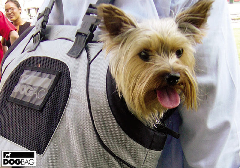 USB - small animal / pet carrier (ERUSB)