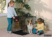 :Midwest 30" folding dog cage, double door, black, no. MD1630DD