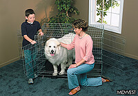 :Midwest 48" 'Ultima' folding dog cage, triple door, zinc, no. MD1648UL