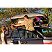 Any roof box will fit on any car