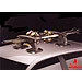 Fiat Doblo Cargo van (2000 onwards)  :Fapa TACO magnetic ski / snowboard rack no. FP955