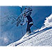 Fasty SKI strap, black 38cm 300kg (1 strap)