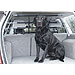 BICE WalkyGuard no. BCA014