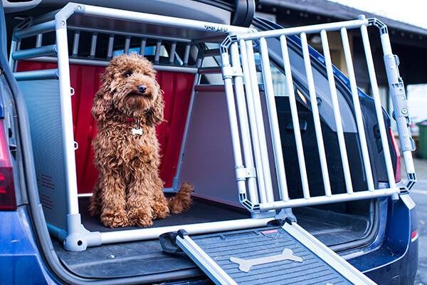 Audi A4 Avant (2005 to 2008):Vehicle dog cages
