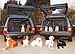 Dog Guards