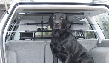BICE WalkyGuard is a headrest mounted universal dog guard