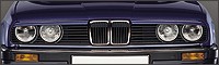 BMW 3 series grilles