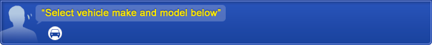 Safe Bag vehicle search