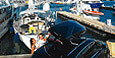 Roof boxes/Roof box/Cargo carriers at The Roof Box Company (www.roofbox.co.uk), the UK's leading mail order supplier of car roof boxes from Thule, KAMEI, Atera, Autoform and Karrite. Also Prorack Whispbar roof bars, Thule roof racks and other accessories for sale or rental.