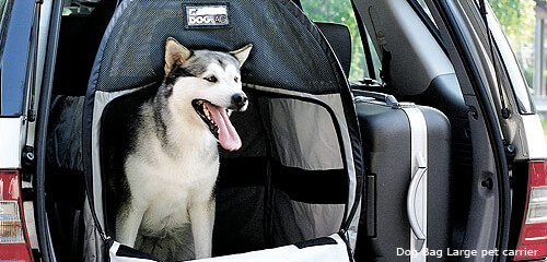 Dog Bag