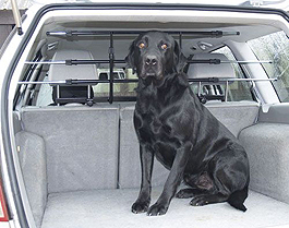 BICE WalkyGuard is a headrest mounted universal dog guard