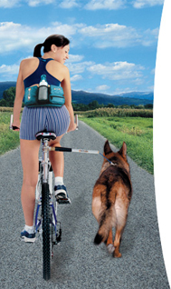 WalkyDog® - Finally: a bicycle dog leash that attaches to a bike's frame! WalkyDog® - Finally: a bicycle dog leash that attaches to a bike's frame!
