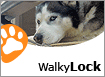 Walky Lock Walky Lock