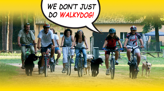 WalkyDog� - Finally: a bicycle dog leash that attaches to a bike's frame!