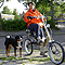 WalkyDog Mieke & Maya video