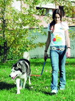 It can be used as a leash, allowing the biker to control their dog even when not riding the bike