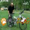 WalkyDog video