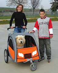 dog bag sports wagon pet carriers