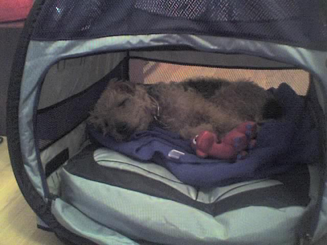 Billy