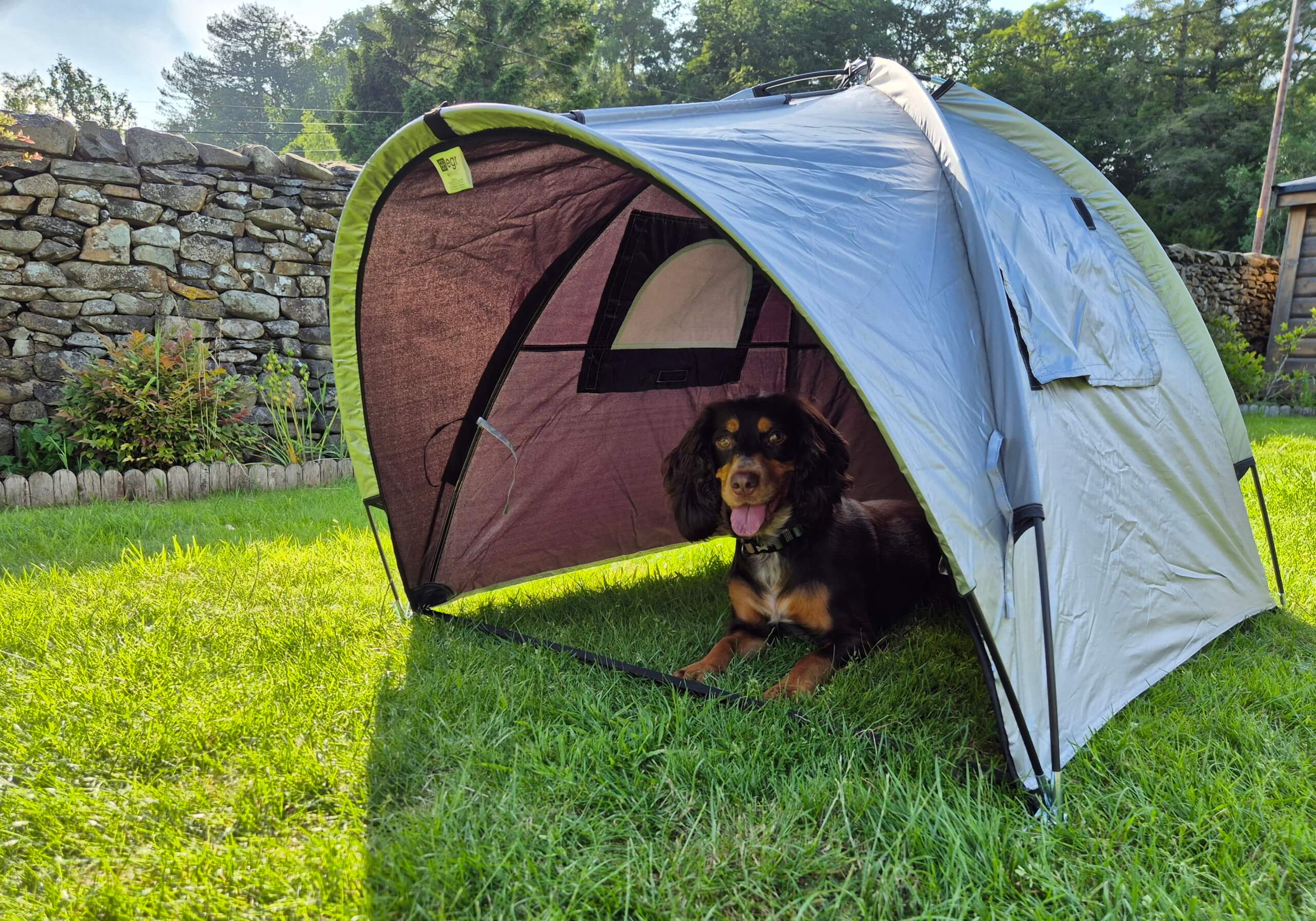 :Petego EB Rain or Shine Tent for Dog Bag small, no. SRS S