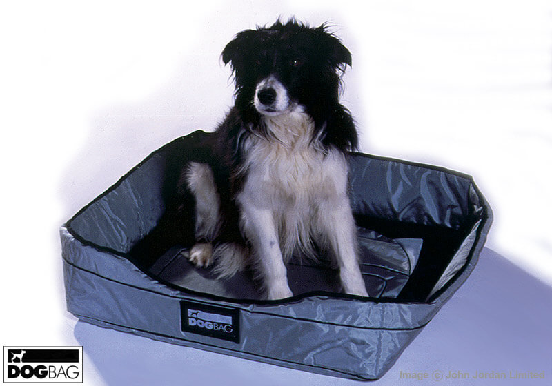 Eb deals dog bag