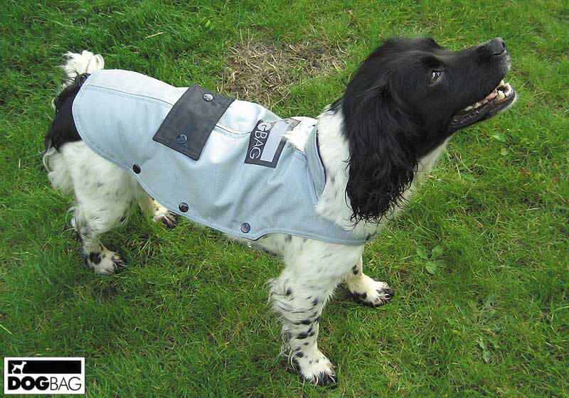 Dog Jackets by Dog Bag