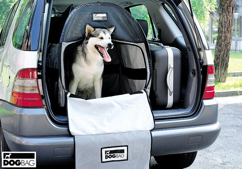 Dog Bag Dog Bag