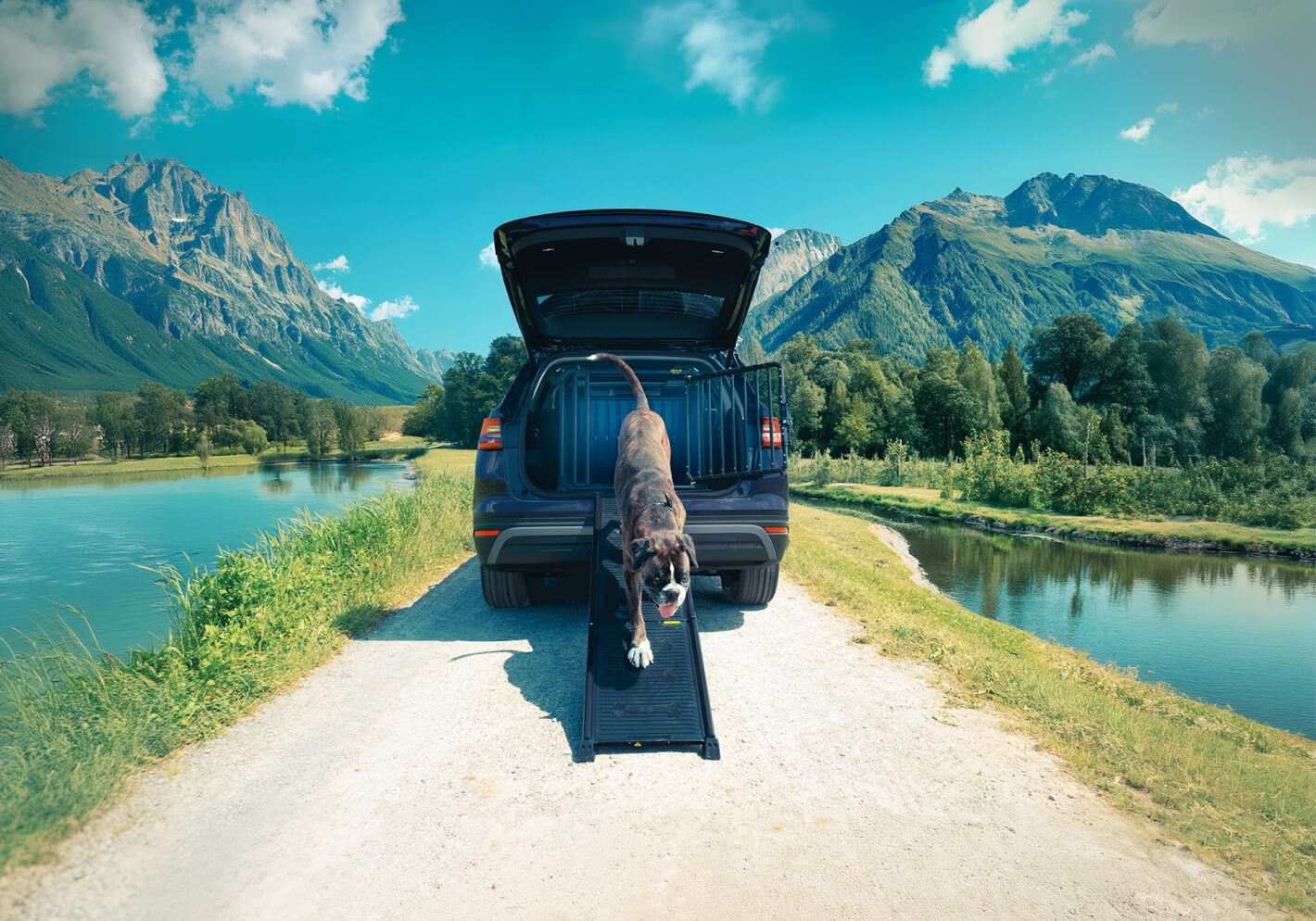 :Brüggli 4pets Easy-Steps telescoping dog access ramp