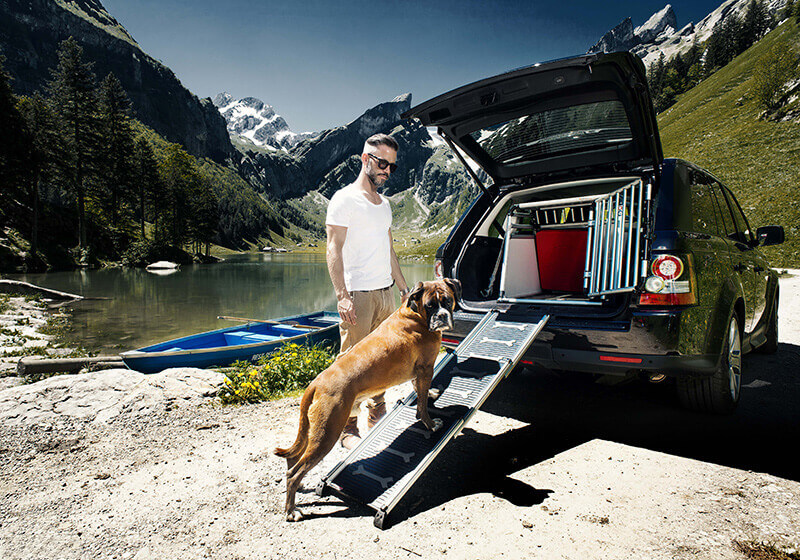 :Brüggli 4pets Easy-Steps telescoping dog access ramp