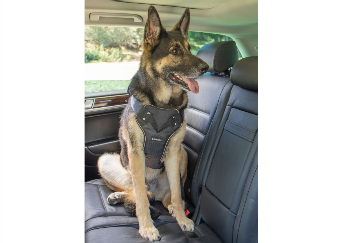 Crash tested dog clearance harness uk