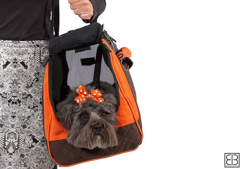 EB Jet Set pet carrier medium size orange brown no. JET SET
