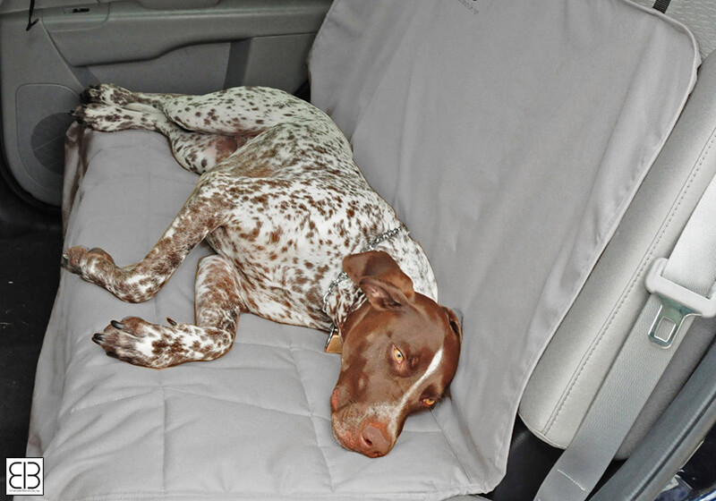 PetEgo EB rear seat car seat protector, extra large, grey, ERSPRSXL-GR