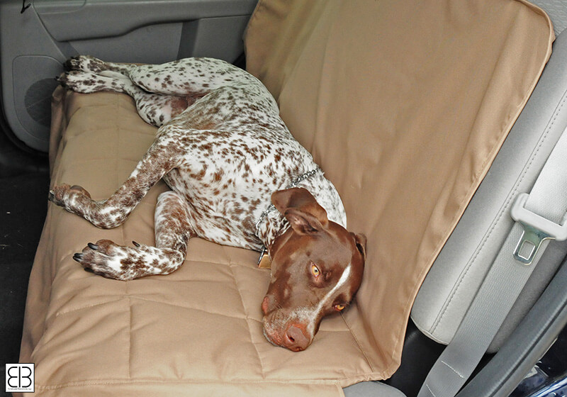 PetEgo EB rear seat car seat protector, extra large, tan, ERSPRSXL-TN