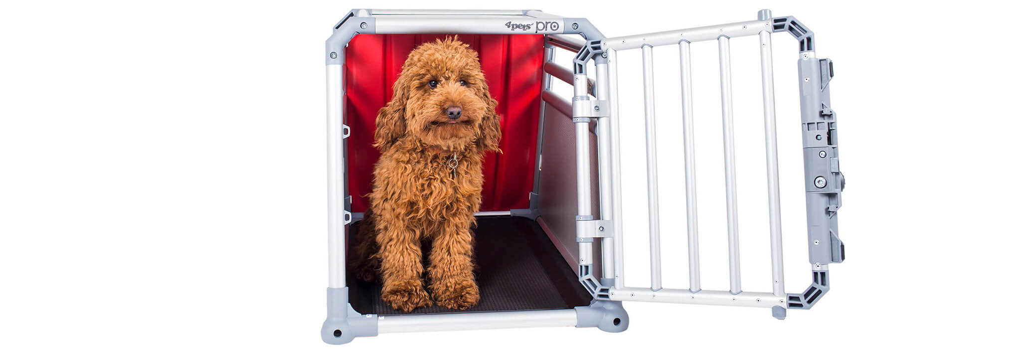 4pets PRO Dog Cage with Cockerpoo- TÜV approved