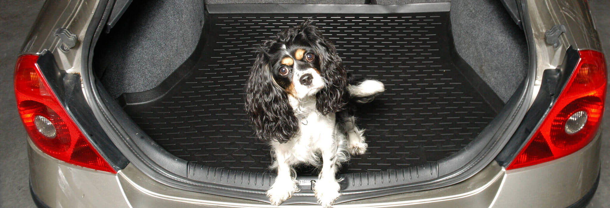Autoform boot liner with a dog