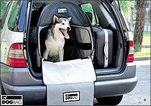 puppy car carrier uk