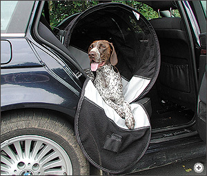dog carry box for car