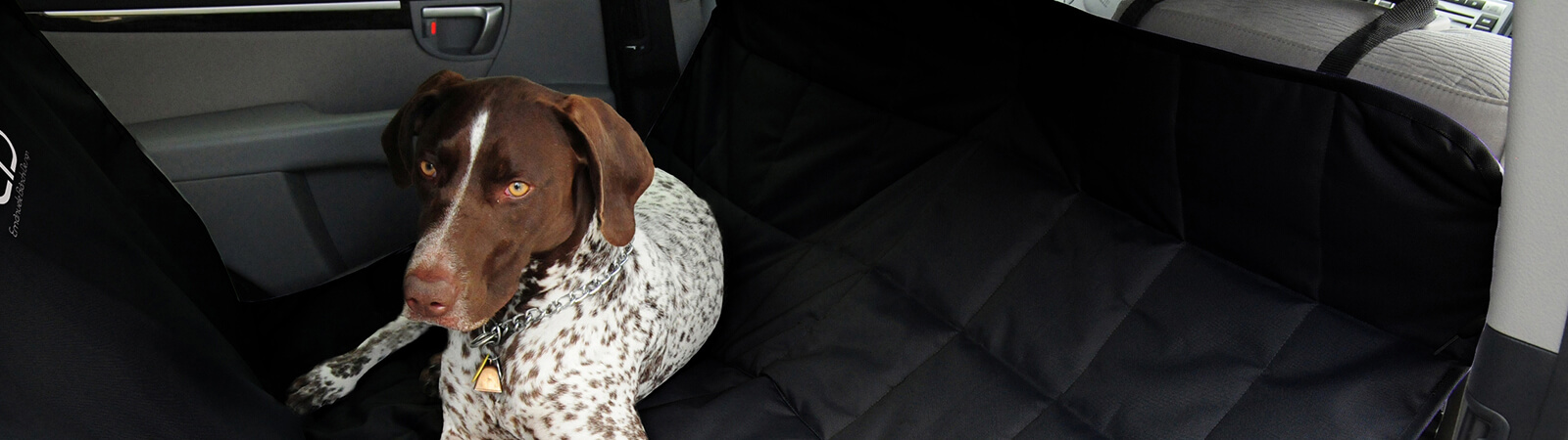 A dog sits in the back of the car in an EB PetEgo Seat Hammock